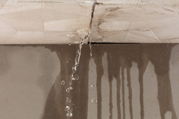 Professional Burst Pipe Cleanup technician working in Harrison Township, MI